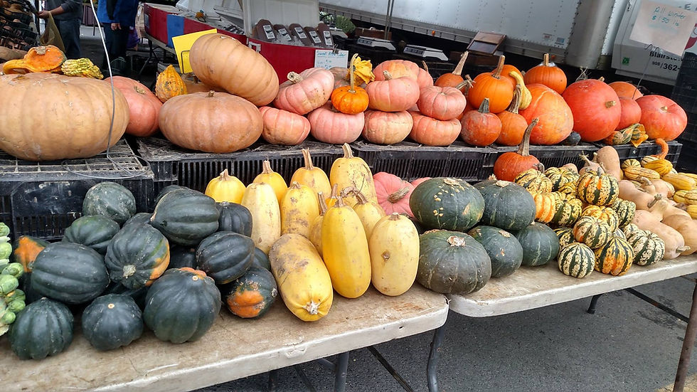 Race Farm Squash